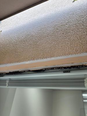 Preventative Pest Control