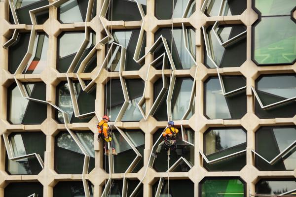 Pest Control at Height